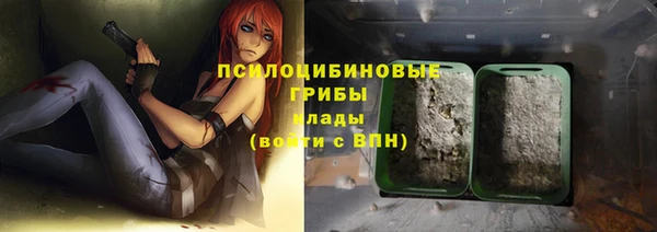 спиды Няндома