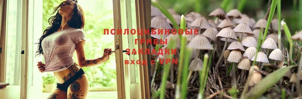 винт Нягань
