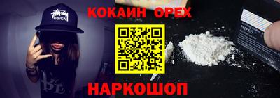 крисы Дубна